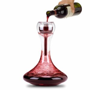 Wine Aerator & Glass Decanter Gift Set