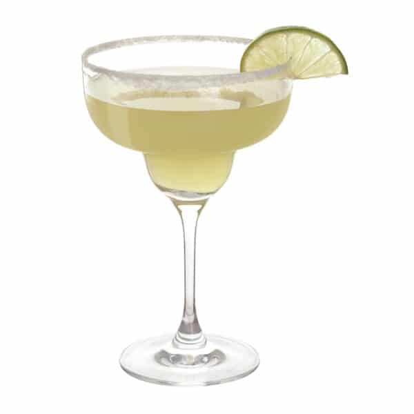 Dartington Crystal Bar Essentials Margarita Glasses