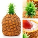 Retro Pineapple Ice Bucket (1500ml) Insulated