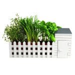 Novelty Indoor Herb Gardening Allotment Planter Gift Set