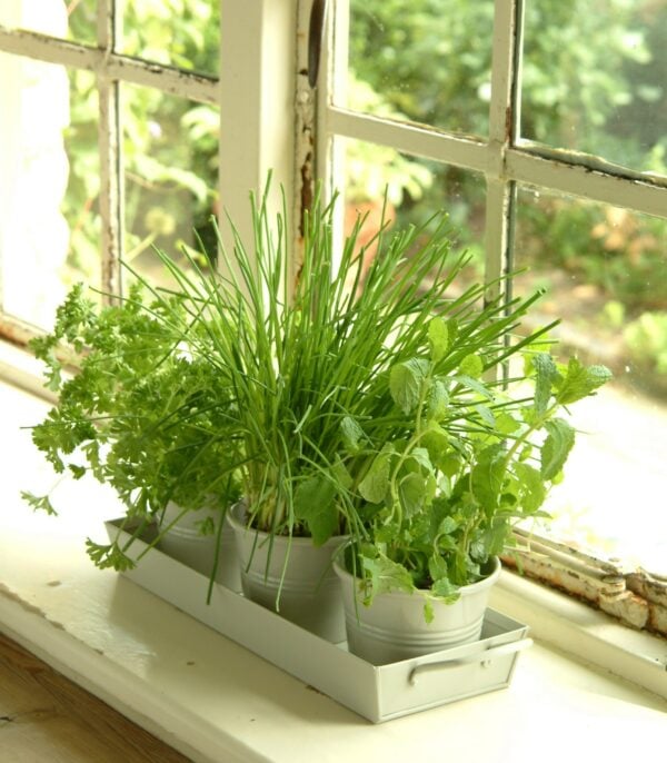 Set of 3 Vintage Metal Windowsill Herb Planter Pots Tray