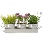 Set of 3 Vintage Metal Windowsill Herb Planter Pots Tray