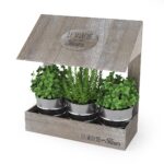 Kitchen Garden Windowsill Herb Flower Pots Planter Set
