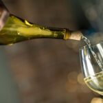 Corkcicle Air Wine Aerator