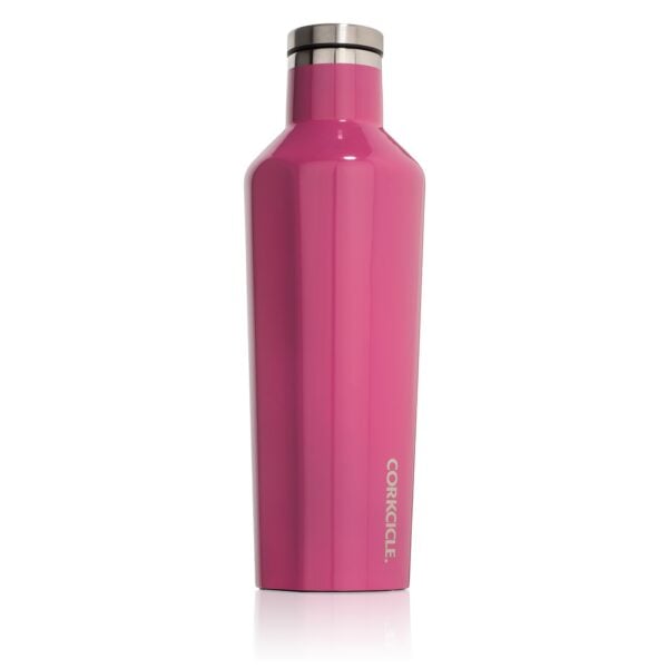 Corkcicle Canteen Water Bottle