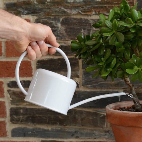 1.1 Chalk Coloured Watering Can