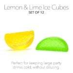 Lemon and Lime Ice Cubes 2