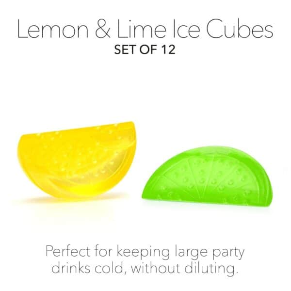 Lemon and Lime Ice Cubes 2