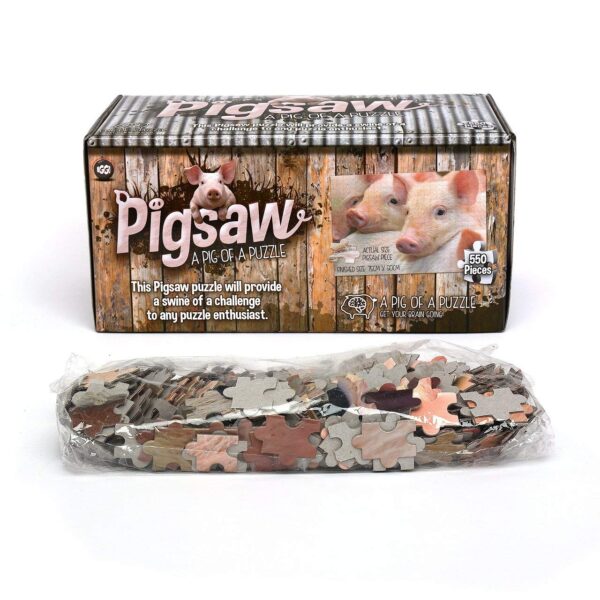 Pigsaw Box