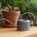 1.1L Indoor Watering Can