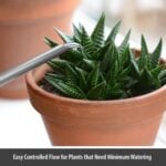 1.1L Indoor Watering Can
