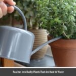 1.1L Indoor Watering Can