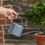 1.1L Indoor Watering Can