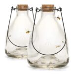 Double Pack Wasp Catcher 2