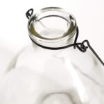 Double Pack Wasp Catcher 9