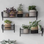 Large Shelf 5