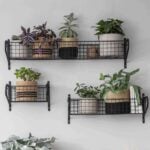 Small Shelf 4