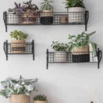 Small Shelf 5