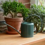 Green Indoor Plant Watering Can 1.4L