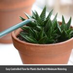 Green Indoor Plant Watering Can 1.4L