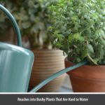 Green Indoor Plant Watering Can 1.4L