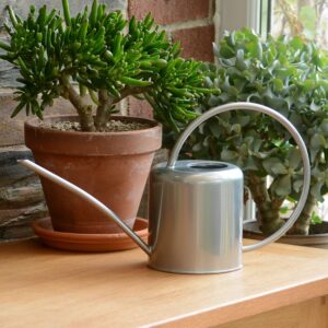Silver Indoor Plant Watering Can