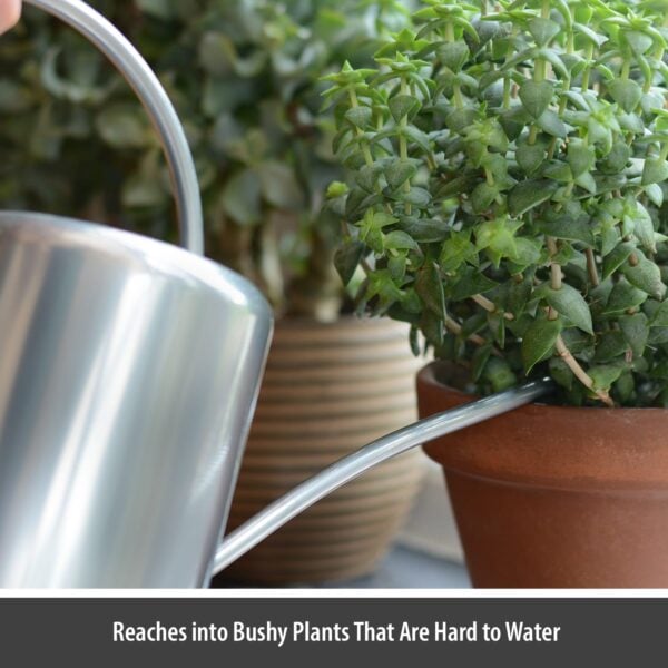 Silver Indoor Plant Watering Can