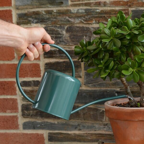 Green Indoor Plant Watering Can 1.4L