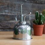 Chrome Plant Mister Metal Water Sprayer