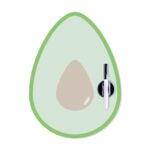 Avocado Magnetic Fridge Board