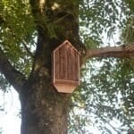 Bat-House