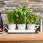 Set of 3 Indoor Metal Plant Pots & Tray