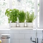 Set of 3 Indoor Metal Plant Pots & Tray