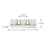 Set of 3 Indoor Metal Plant Pots & Tray