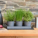 Set of 3 Indoor Metal Plant Pots & Tray