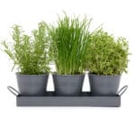 Set of 3 Indoor Metal Plant Pots & Tray