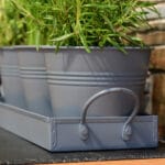 Set of 3 Indoor Metal Plant Pots & Tray
