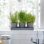 Set of 3 Indoor Metal Plant Pots & Tray