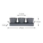 Set of 3 Indoor Metal Plant Pots & Tray