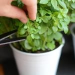 Set of 3 Indoor Metal Plant Pots & Tray