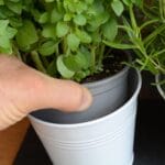 Set of 3 Indoor Metal Plant Pots & Tray