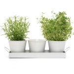 Set of 3 Indoor Metal Plant Pots & Tray