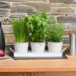 Set of 3 Indoor Metal Plant Pots & Tray