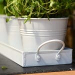 Set of 3 Indoor Metal Plant Pots & Tray