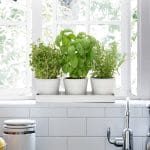 Set of 3 Indoor Metal Plant Pots & Tray