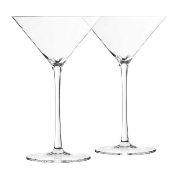 Set of 2 Final Touch® DuraShield™ Martini Glasses