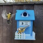 Hoe Tweet Home Bird Box / Feeder