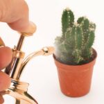 Copper Plant Mister Metal Water Sprayer