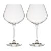 Dartington Crystal Revel Gin & Tonic Copa Glasses (Set of 2) (570ml)