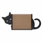 Empty Black Cat Frame